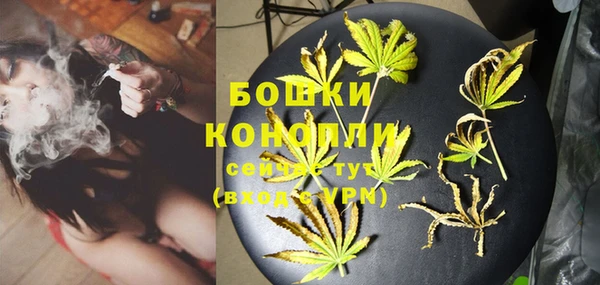 ешки Аркадак