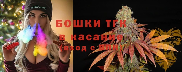 ешки Аркадак