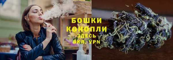 ешки Аркадак